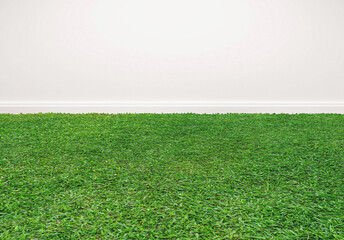 Green grass floor, with white wall background. Empty space for backgrounds