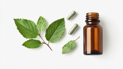 Herbal supplement capsules with fresh green leaves 