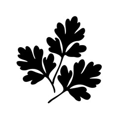 Elegant minimalist silhouette of parsley sprigs set against a clean white backdrop