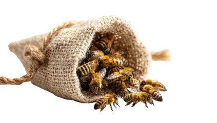 Obraz premium Bees clustered in a burlap sack