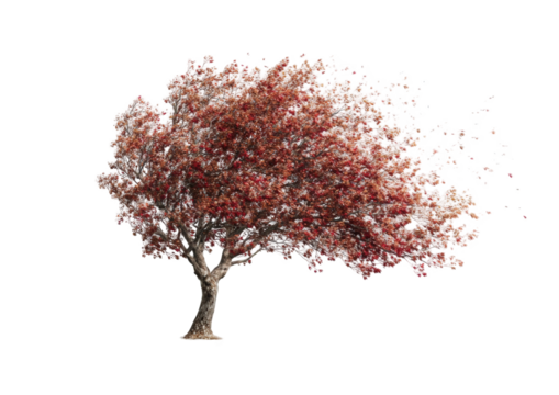 Abstract blossom tree, swirling leaves