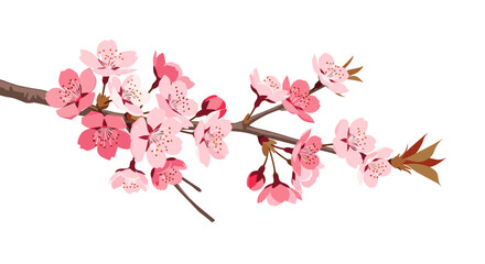 Fototapeta premium Blooming cherry blossom branch with pink flowers and brown stem
