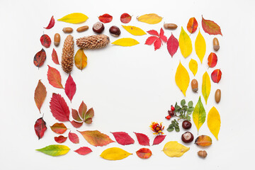 Frame made of autumn leaves with acorns, chestnuts, pine cones and rose hip berries on white background