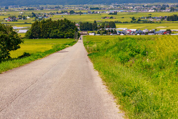 夏空の下に広がる気持ちいい喜多方地方の田園風景