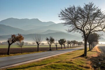 Fototapeta premium morning in the mountains