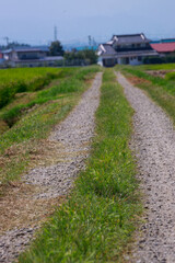 夏空の下に広がる気持ちいい喜多方地方の田園風景
