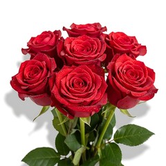 Fototapeta premium A stunning bouquet of vibrant red roses, their petals glistening with droplets. 