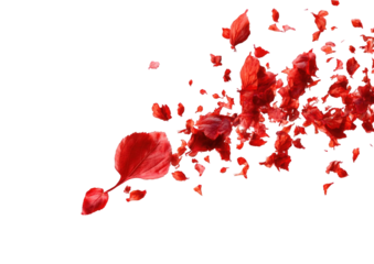 Abstract explosion of red petals
