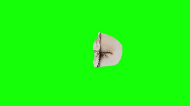 motion collage eye looping
