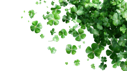 Green clover leaves scattered against black background