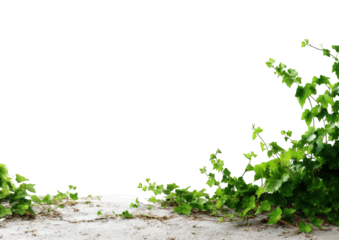 Greenery spills over a light-grey surface