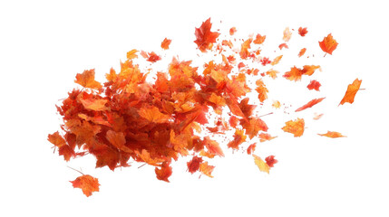 Abstract autumnal leaves in motion (1)