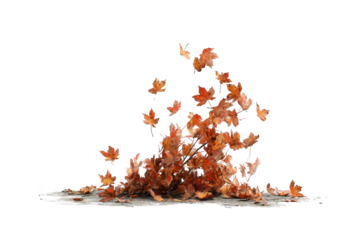 Autumn leaves pile in the wind