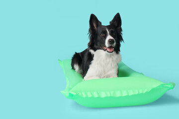 Cute Border Collie dog with inflatable mattress on blue background