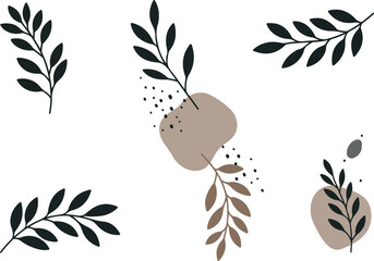 ~temp_image_Abstract_botanical_a_seed747010_1756400324505_1