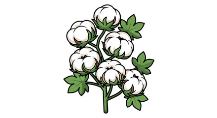 Cotton plant with fluffy white bolls and green leaves.