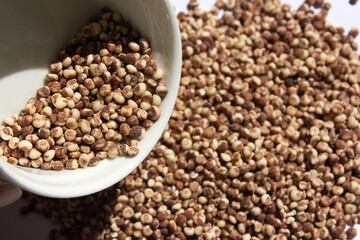 This is a close-up of sorghum.