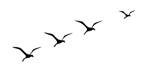 Four silhouetted birds flying in formation against a black background
