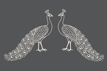 Symmetrical Peacock Pair Elegant Line Art