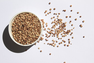 Sorghum placed on a white background