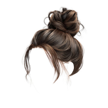 Elegant Brown Hair Bun Hairstyle - Isolated on