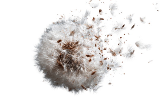 Abstract explosion of light beige and brown particles