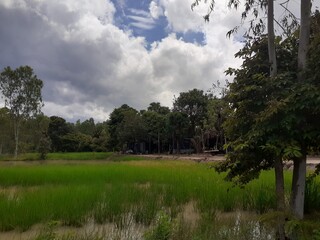 The natural environment of rural Thailand