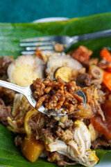 Nasi Gudeg Koyor, captured on September 5, 2025. Traditional Javanese rice dish with sweet young jackfruit stew and tender beef tendon, authentic Indonesian culinary heritage