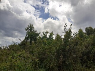 The natural environment of rural Thailand