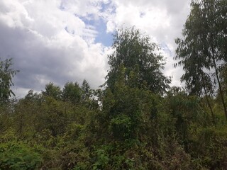 The natural environment of rural Thailand