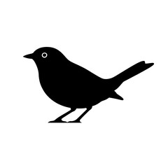 Obraz premium bird on a branch