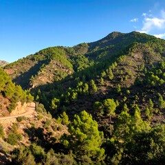 Mountainous landscape with winding road