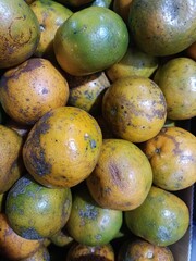 Organic Oranges with Green and Yellow Peel