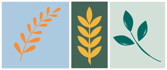 Minimalist botanical illustration set with three stylized leaf branches in different colors and backgrounds. 