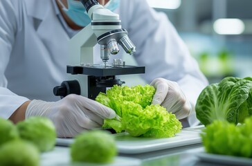 A scientist examines lettuce under a microscope, showcasing research in agriculture and food safety.