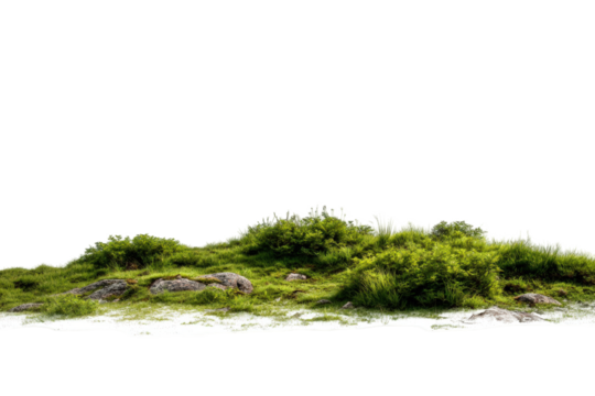 A grassy hillside with rocks