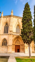 Fototapeta premium Gothic church facade, tall trees flank entrance
