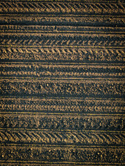 detail of thai temple roof