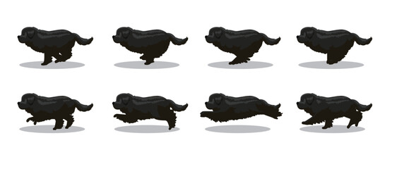 Newfoundland Running Side Cartoon Animation Frame Vector