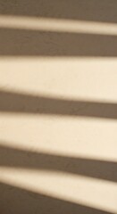 光と影の交響曲