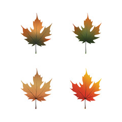 Autumn Maple Leaves Vector Illustration Set, Fall Season Nature Design