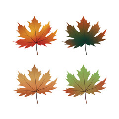 Autumn Maple Leaves Vector Illustration Set, Fall Season Nature Design
