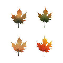 Fototapeta premium Autumn Maple Leaves Vector Illustration Set, Fall Season Nature Design
