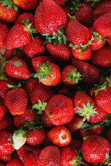 fresh strawberries in the market