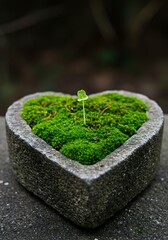 こころの芽生え