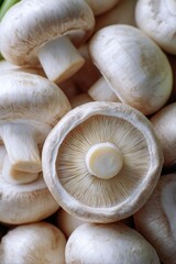 Close-up of fresh mushrooms
