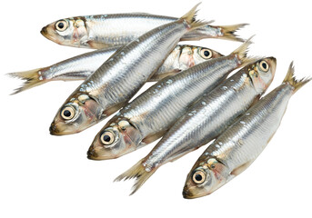 Fototapeta premium Silver fish group close up transparent background seafood food ingredient