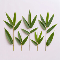 Obraz premium 대나무잎, 죽엽, 대나무, 초록잎, 바람, 대숲, 자연, 한지, 잎사귀, 차문화, bamboo leaf, green leaf, bamboo, nature, foliage, zen, tea culture, breeze, leaf texture, oriental, eco, fresh, forest, plant, stem 
