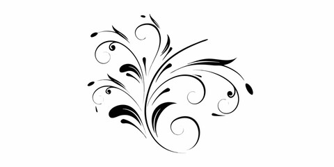 Elegant black flourish swirls and leaves on white background