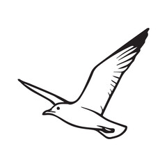 Vector illustration depicts a seagull in black and white, outlined with bold black lines, symbolizing freedom, ocean wildlife, and natural coastal beauty.